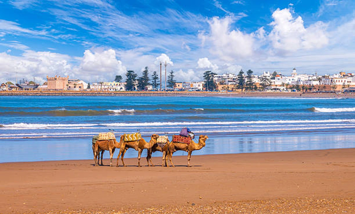 Essaouira vs Taghazout — surf Maroc