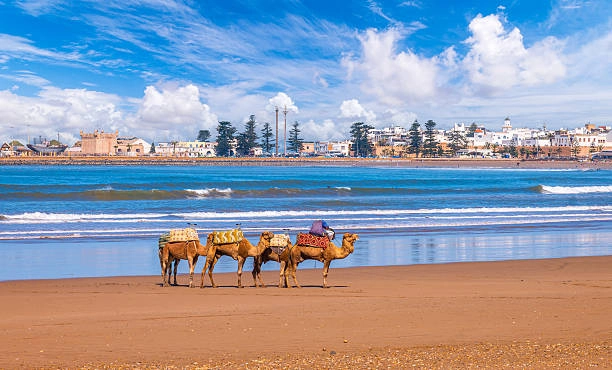 Itinéraire Surf Camp 8 Jours à Essaouira — Programme Jour par Jour