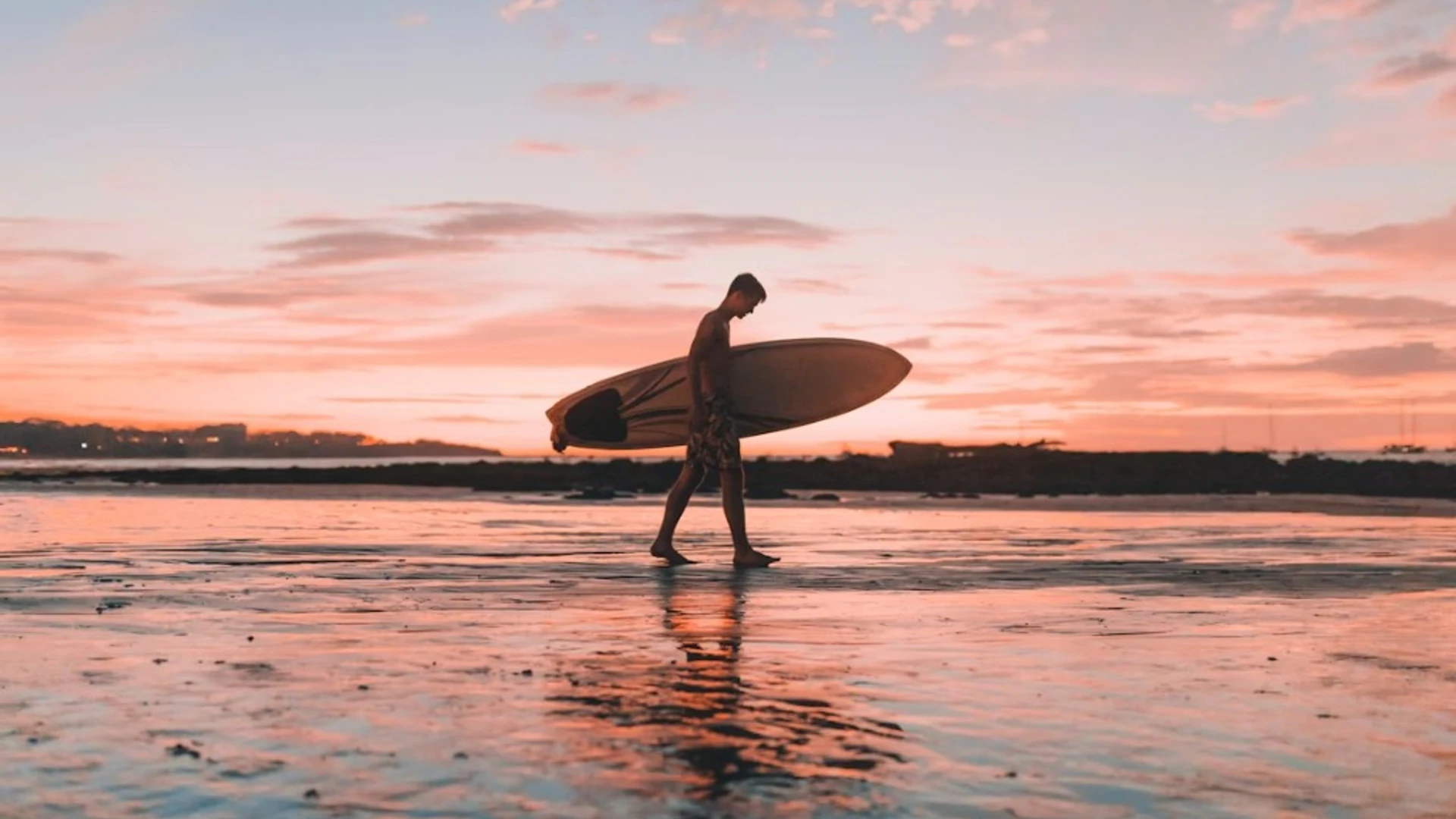 Session cours de surf — briefing et entrée en eau (groupe école) — Baie d’Essaouira, 2024