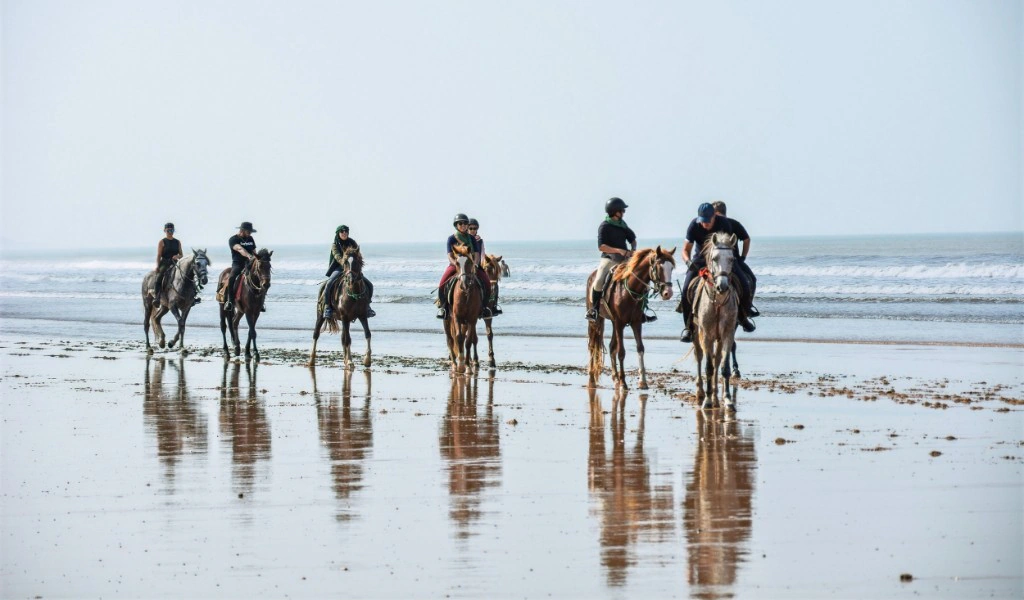 4 Day Surf, Yoga & Horse